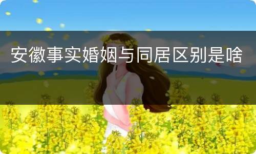 安徽事实婚姻与同居区别是啥