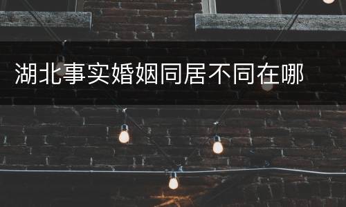 湖北事实婚姻同居不同在哪