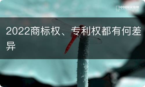 2022商标权、专利权都有何差异