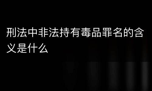 刑法中非法持有毒品罪名的含义是什么