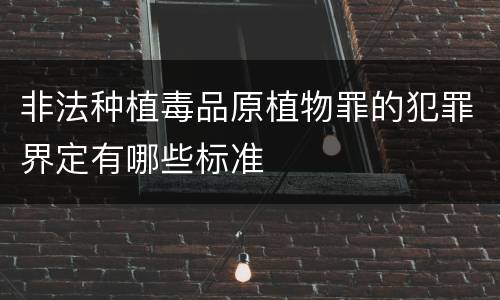 非法种植毒品原植物罪的犯罪界定有哪些标准