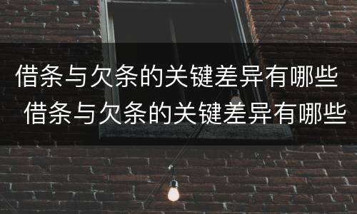 借条与欠条的关键差异有哪些 借条与欠条的关键差异有哪些呢
