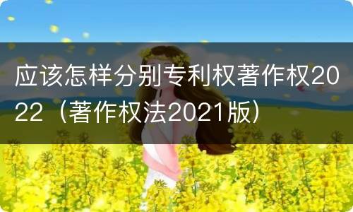 应该怎样分别专利权著作权2022（著作权法2021版）