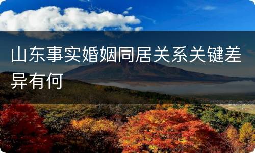 山东事实婚姻同居关系关键差异有何