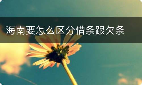 海南要怎么区分借条跟欠条