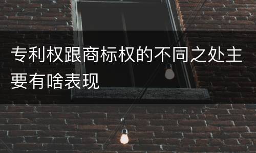 专利权跟商标权的不同之处主要有啥表现