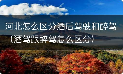 河北怎么区分酒后驾驶和醉驾（酒驾跟醉驾怎么区分）