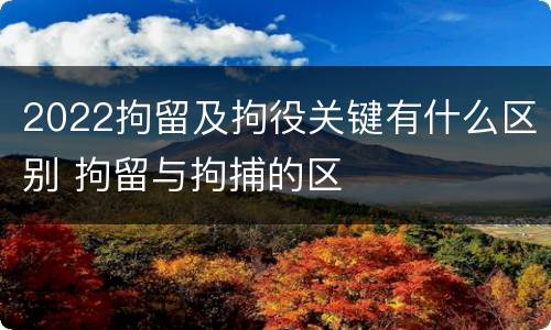2022拘留及拘役关键有什么区别 拘留与拘捕的区