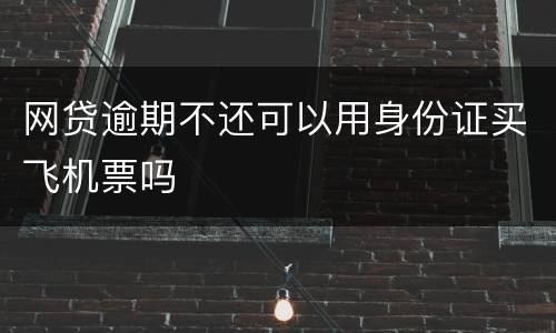 网贷逾期不还可以用身份证买飞机票吗
