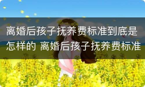 离婚后孩子抚养费标准到底是怎样的 离婚后孩子抚养费标准是什么?