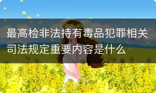 最高检非法持有毒品犯罪相关司法规定重要内容是什么