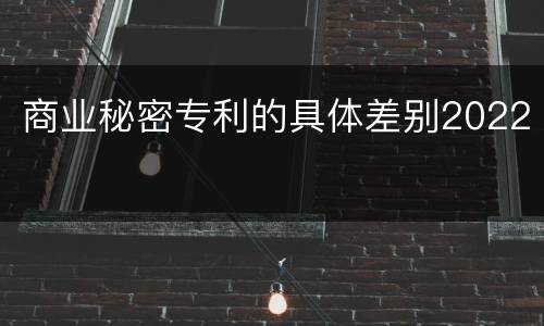 商业秘密专利的具体差别2022