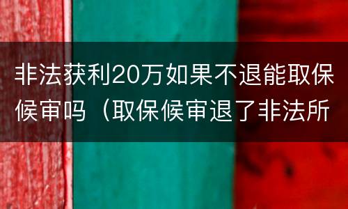 非法获利20万如果不退能取保候审吗（取保候审退了非法所得）