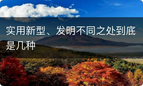 实用新型、发明不同之处到底是几种