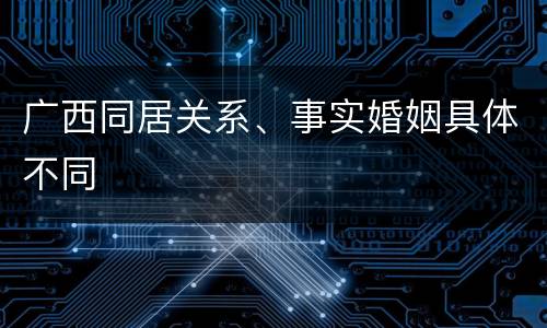 广西同居关系、事实婚姻具体不同