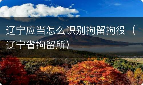 辽宁应当怎么识别拘留拘役（辽宁省拘留所）