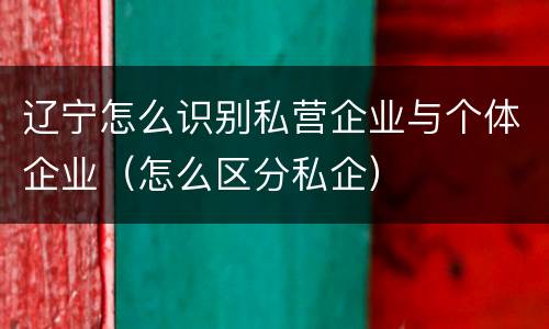 辽宁怎么识别私营企业与个体企业（怎么区分私企）