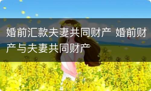 婚前汇款夫妻共同财产 婚前财产与夫妻共同财产