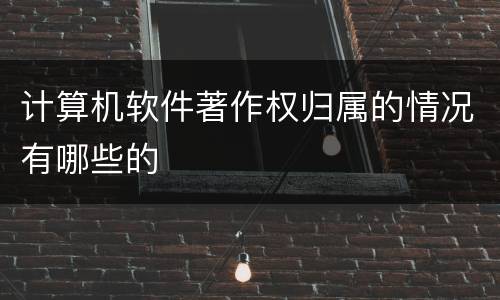 计算机软件著作权归属的情况有哪些的
