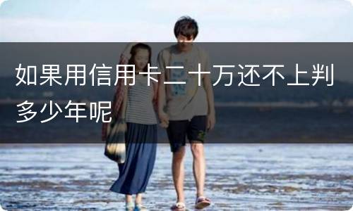 如果用信用卡二十万还不上判多少年呢