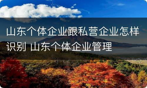 山东个体企业跟私营企业怎样识别 山东个体企业管理