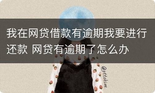 我在网贷借款有逾期我要进行还款 网贷有逾期了怎么办