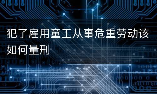 犯了雇用童工从事危重劳动该如何量刑