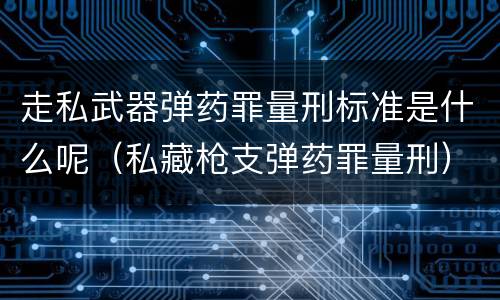 走私武器弹药罪量刑标准是什么呢（私藏枪支弹药罪量刑）