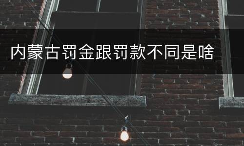 内蒙古罚金跟罚款不同是啥