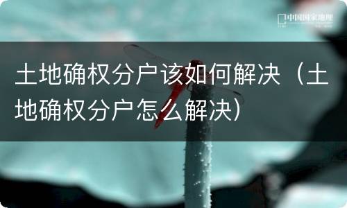 土地确权分户该如何解决（土地确权分户怎么解决）