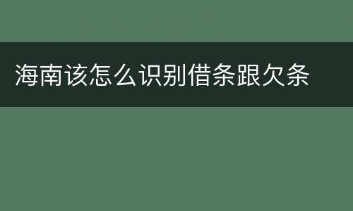 海南该怎么识别借条跟欠条