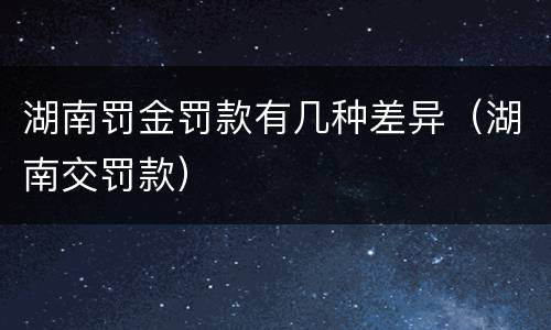 湖南罚金罚款有几种差异（湖南交罚款）