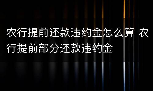 农行提前还款违约金怎么算 农行提前部分还款违约金