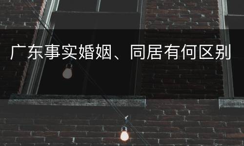 广东事实婚姻、同居有何区别