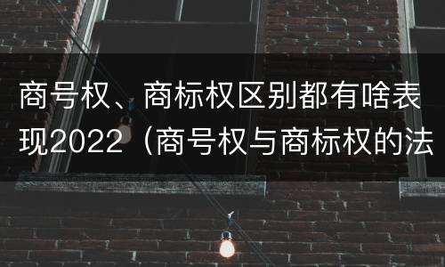 商号权、商标权区别都有啥表现2022（商号权与商标权的法律冲突与解决）