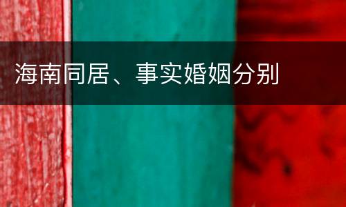 海南同居、事实婚姻分别