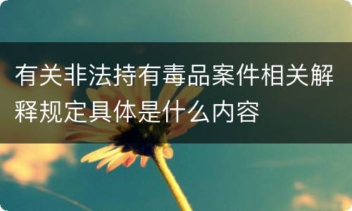 有关非法持有毒品案件相关解释规定具体是什么内容