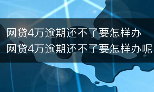 网贷4万逾期还不了要怎样办 网贷4万逾期还不了要怎样办呢