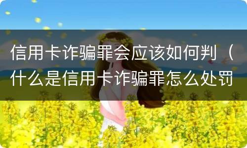 信用卡诈骗罪会应该如何判（什么是信用卡诈骗罪怎么处罚）