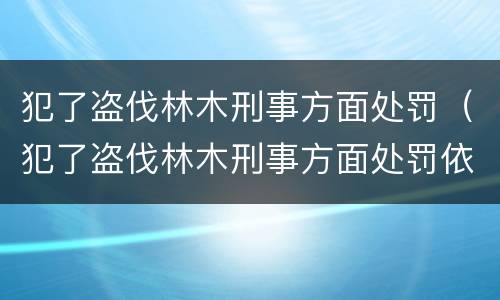 犯了盗伐林木刑事方面处罚（犯了盗伐林木刑事方面处罚依据）