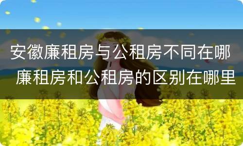 安徽廉租房与公租房不同在哪 廉租房和公租房的区别在哪里