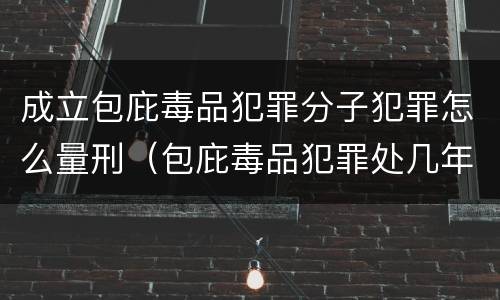 成立包庇毒品犯罪分子犯罪怎么量刑（包庇毒品犯罪处几年以下有期徒刑）