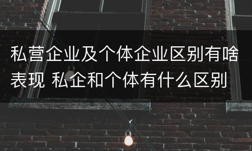 私营企业及个体企业区别有啥表现 私企和个体有什么区别