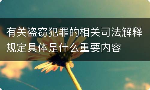 有关盗窃犯罪的相关司法解释规定具体是什么重要内容