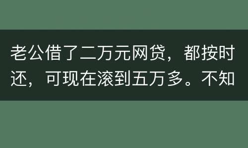 老公借了二万元网贷，都按时还，可现在滚到五万多。不知道怎么办