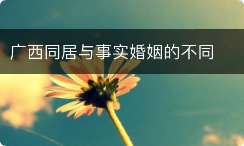 广西同居与事实婚姻的不同