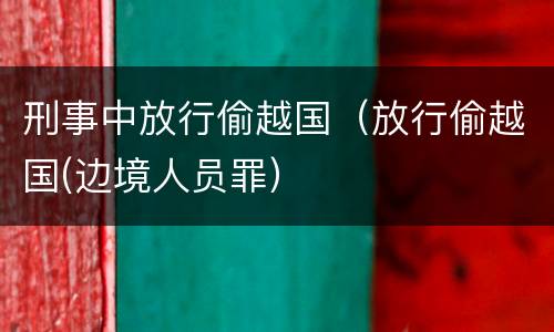 刑事中放行偷越国（放行偷越国(边境人员罪）