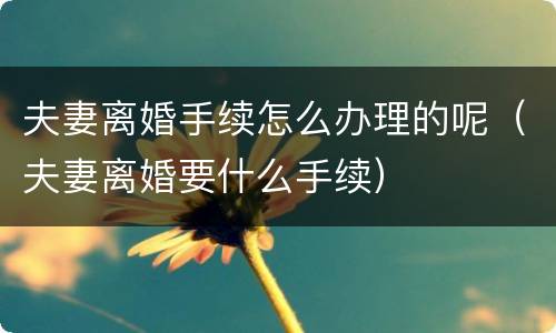 夫妻离婚手续怎么办理的呢（夫妻离婚要什么手续）