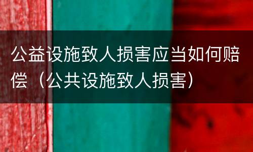 公益设施致人损害应当如何赔偿（公共设施致人损害）