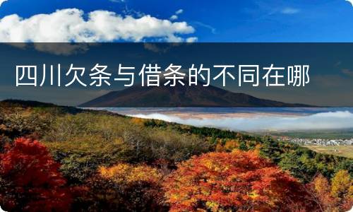 四川欠条与借条的不同在哪